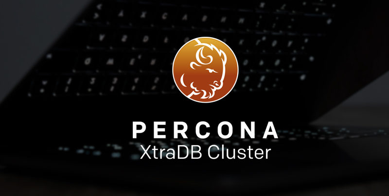 logo percona xtraDB cluster